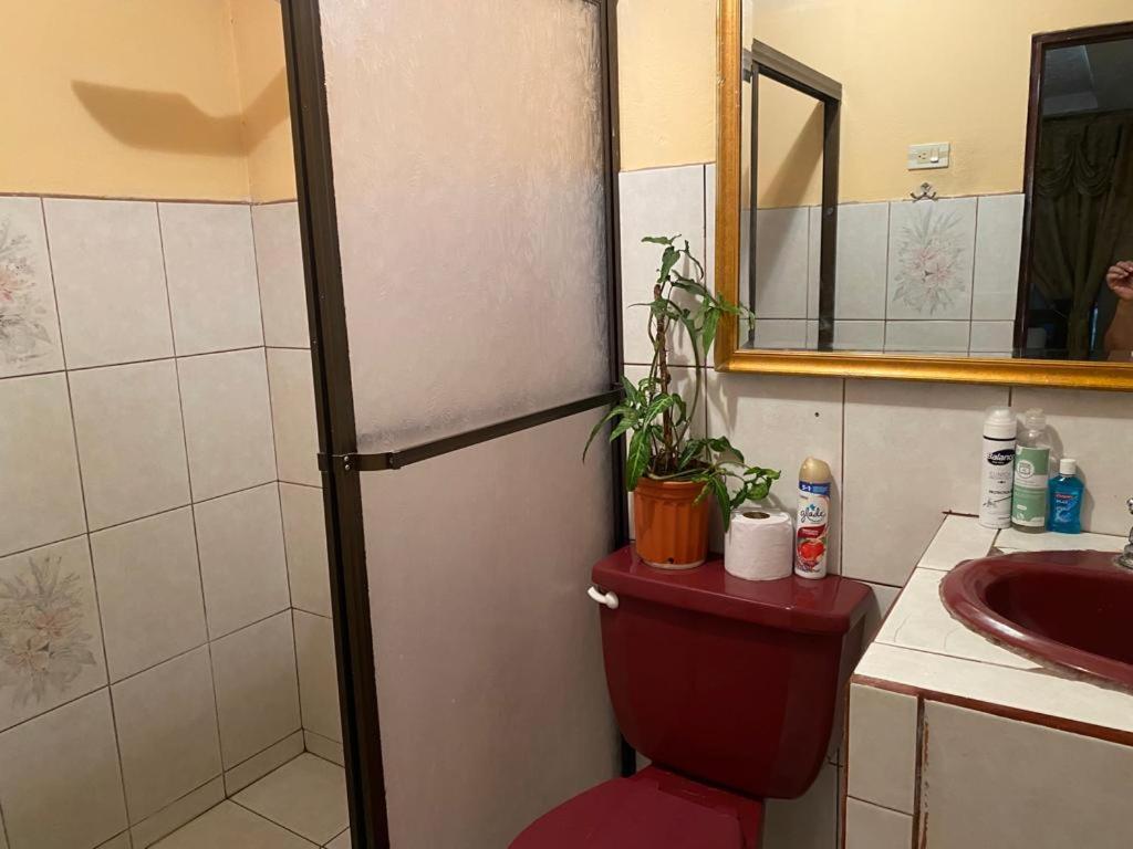 Casa Lupita Alajuela Apartment Bagian luar foto